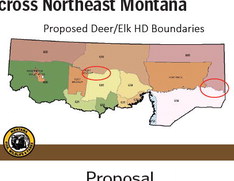 Region 6 Hunting Season Proposals To Be Discussed  At Four Meetings Across Northeast Montana