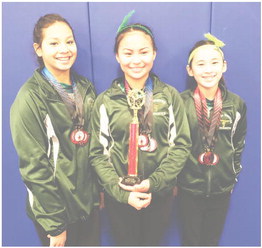 Area Gymnasts Do Well In Mandan