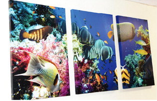 Community Support Brings Colorful Updates To RMC Community Support Brings Colorful Updates To RMC