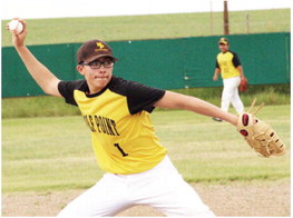 American Legion Bats  Might Start Crack Soon