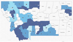 Statewide COVID-19 Cases At 479