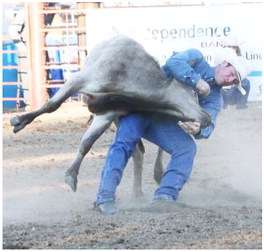 Steer Wrestling Steer Wrestling