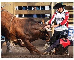 Simmes To Appear As  Bullfighter At Stampede