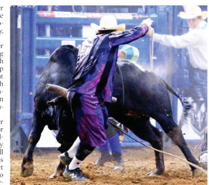 Montana Bullfighter Harrell Returns To Stampede Montana Bullfighter Harrell Returns To Stampede