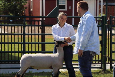 Culbertson Couple Hosts Lamb, Goat Camp