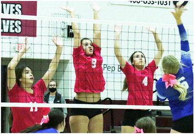 Wolves Knock Off Malta In Conference Match