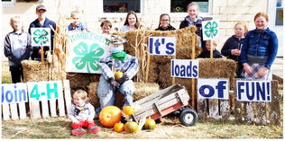 Area Clubs Recognize National 4-H Week