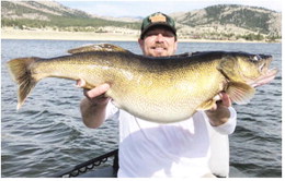 New Montana State Record Walleye Caught