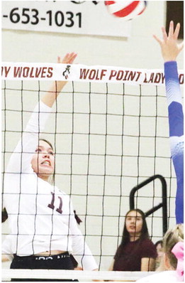 Lady Wolves Drop Home  Match Against Malta Squad