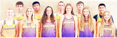 Area Runners Prepare For State Meet