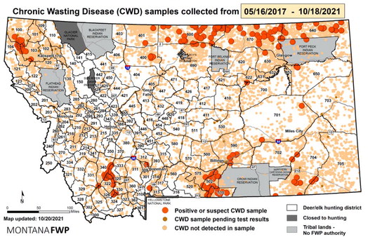 FAQ: Chronic Wasting Diseases In Montana