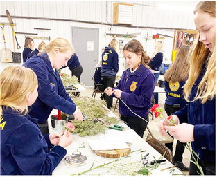Bainville Hosts Big  Muddy FFA Competition