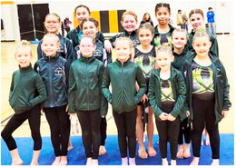 Local Gymnasts Place At Dickinson Meet Local Gymnasts Place At Dickinson Meet