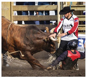 Bullfighter Looks Forward To Stampede
