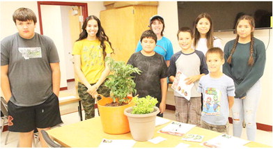 Area Students Learning About Eating Their Garden Area Students Learning About Eating Their Garden
