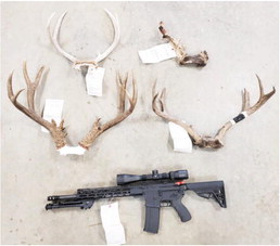 Shepherd Man Sentenced For Poaching Deer Shepherd Man Sentenced For Poaching Deer