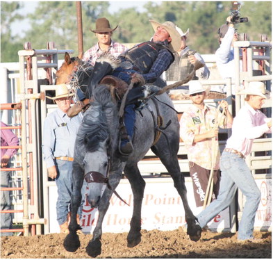 Area Enjoys Wolf Point Stampede Rodeo Action