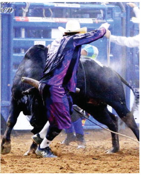 Harrell Returns As  Bullfighter For Stampede