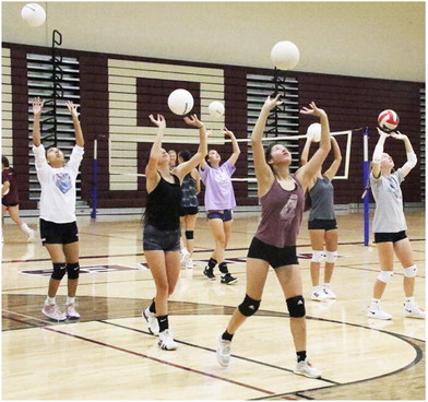 Lady Wolves Return Volleyball Starters