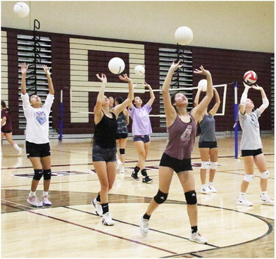 Lady Wolves Return Volleyball Starters Lady Wolves Return Volleyball Starters
