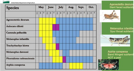 New Fort Peck Producers Meeting Covers Grasshoppers