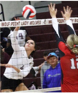 Lady Wolves Drop Match To Scotties