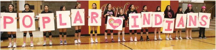 Poplar Volleyball Pink Night