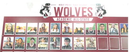 Wolves Earn Academic All-State Honors