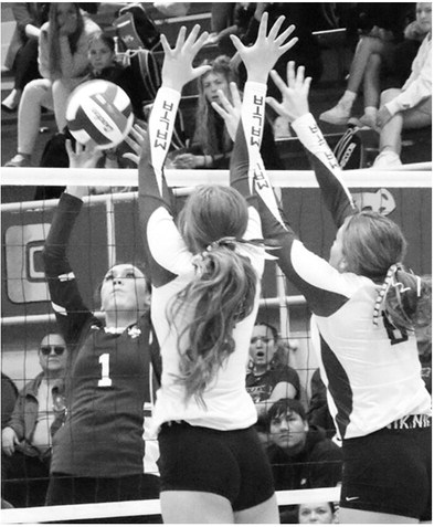 Lady Wolves Advance To Divisional Tournament Lady Wolves Advance To Divisional Tournament
