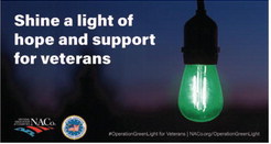 County Buildings Illuminated  Green In Support Of Veterans