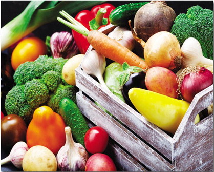 Bountiful produce for fall and winter