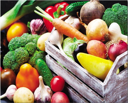 Bountiful produce for fall and winter Bountiful produce for fall and winter