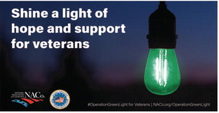 County Buildings Illuminated  Green In Support Of Veterans