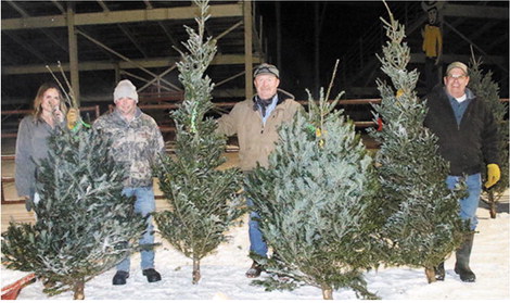 Stampede Committee Makes  Tradition Of Selling Trees