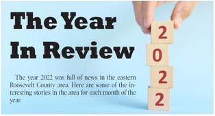 TheYear  In Review