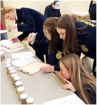 FFA Teams Fare Well At Competitions
