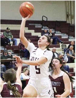 Lady Wolves Edge Sidney by 60-54 Final