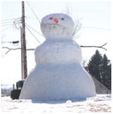 Winter Visitor Winter Visitor