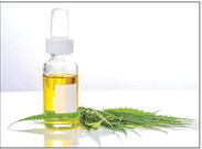 What to know about CBD oil What to know about CBD oil