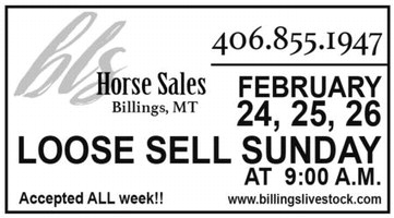 02_16_a_pg12_art_6 02_16_a_pg12_art_6