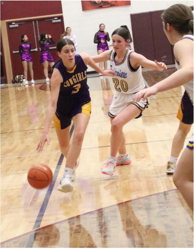 District 2C Girls Receive Honors District 2C Girls Receive Honors
