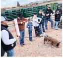 Nortana Hosts 4-H  Clinic In Culbertson