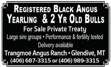 04_27_a_pg14_art_13 04_27_a_pg14_art_13