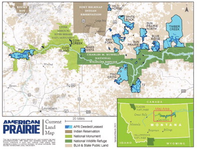 American Prairie Purchases Wild Horse