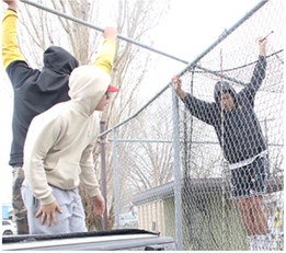 Baseball Repairs Baseball Repairs