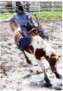 Miller Leads Horsemanship Clinic At Poplar Saddle Club On Saturday