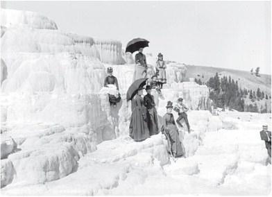Haynes Photographs Gain World-Wide Access Haynes Photographs Gain World-Wide Access