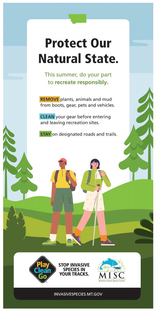 06_15_a_pg10_art_5 06_15_a_pg10_art_5