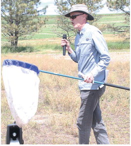 Field Day Includes Information About Grasshoppers