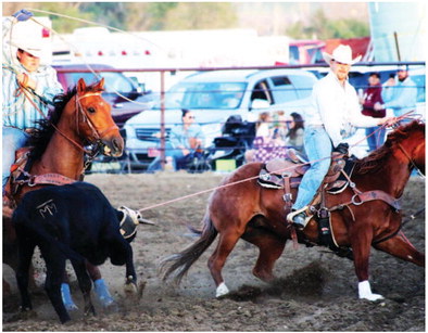 Frontier Days Rodeo Wraps Up